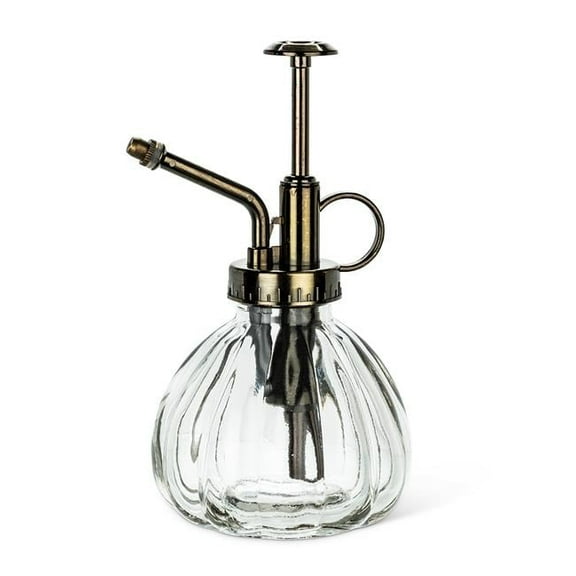 Abbott Collections AB-20-MR-CLEAR 6 in. Clear Plant Mister, Clear