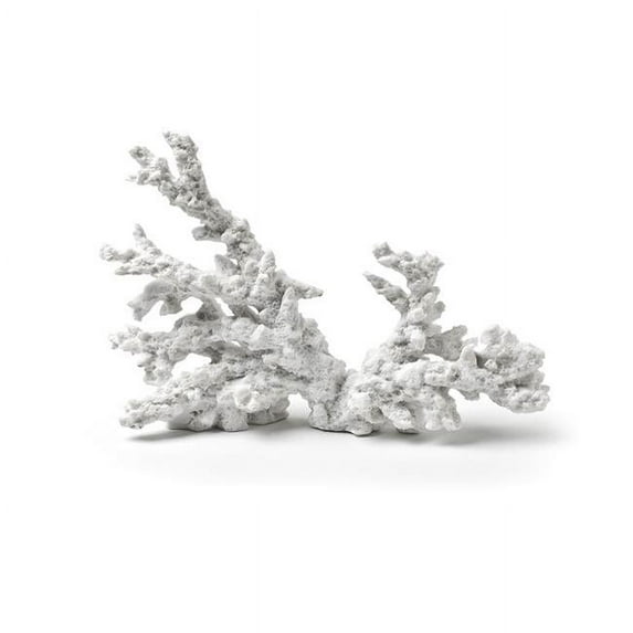 Abbott Collections AB-20-SEASHORE-10-WHT 6 in. Coral Branch Decoration, White
