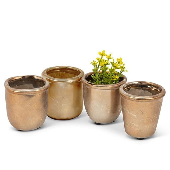 Abbott Collections AB-27-GRYPHON-GOLD 3 in. Assorted Shapes Gold Cacti Or Succulents Planters, Antique Gold - Set of 4