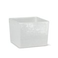 thumbnail image 1 of Abbott Collections AB-27-NIRVANA-9479 5 in. Square Planter, White, 1 of 1