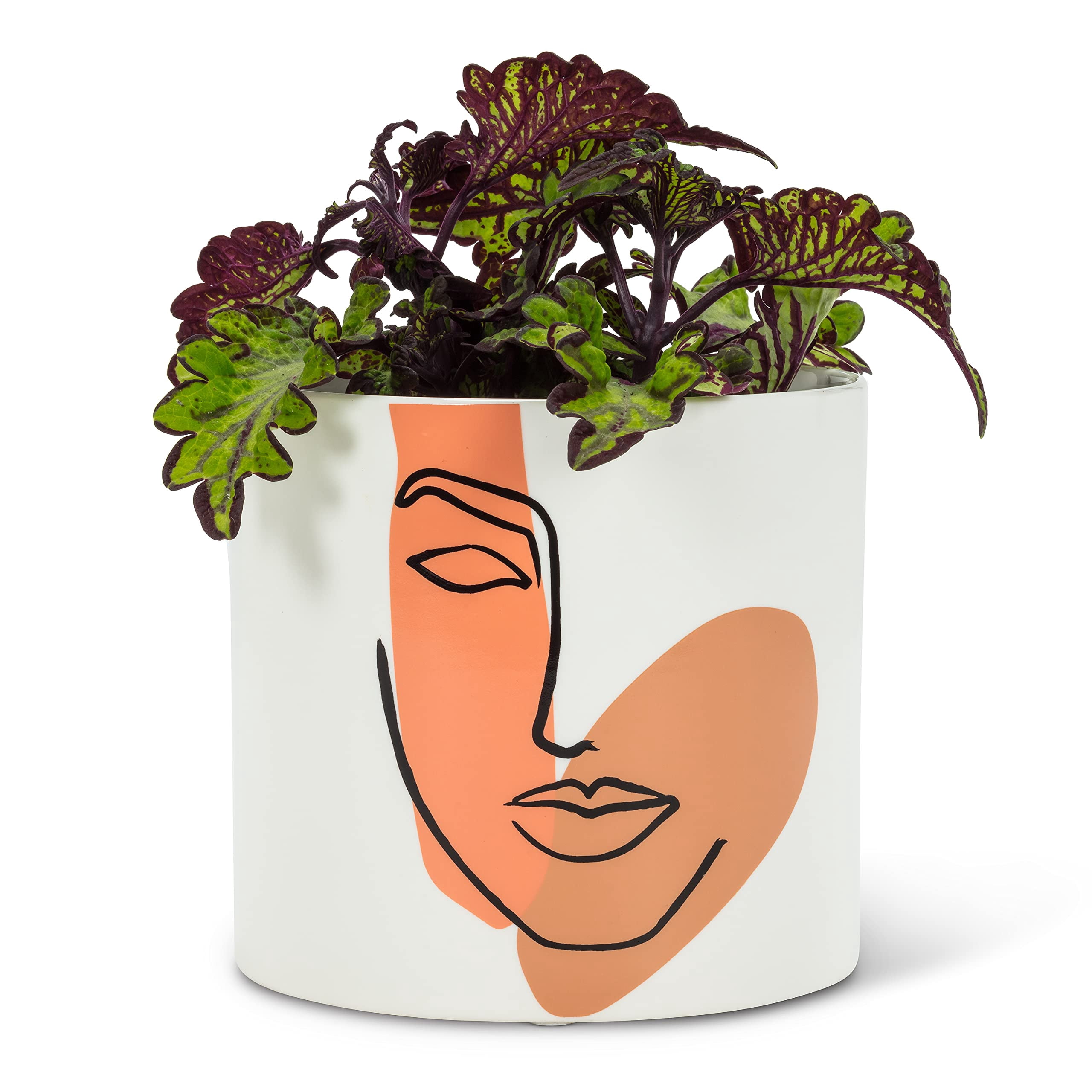 Abbott Collection Blumentopf Mit Gesicht – Kleiner, Moderner Übertopf In Weiß