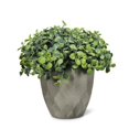 thumbnail image 1 of Abbott Collections AB-27-WOODHILL-12 6 in. Green Teardrop Leaf Potted Plant Faux Plants & Trees, Green, 1 of 1