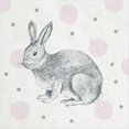 thumbnail image 1 of Abbott Collections AB-88-L-054600 Bunnies & Dots Easter Napkins - Set of 20, 1 of 1