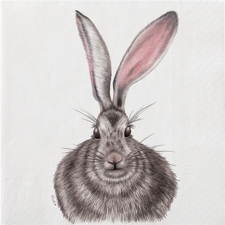Abbott Collections AB-89-LPN-CN-02 6.5 in. Henrietta Hare Napkins, White & Grey - Set of 20