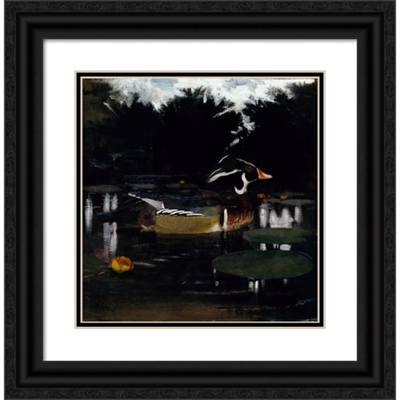 Abbott Handerson Thayer 20x20 Black Ornate Framed Double Matted Museum Art Print Titled: Male Wood Duck in a Forest Pool, Study for Book Concealing Coloration in the Animal Kingdom