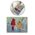 thumbnail image 1 of Abbraccia Cute Latch Hook Rug Kits with Colored-Coded Canvas, Helps Your Convenient And Easier for Embroidery Sewing , Parrot, 52x38cm, 1 of 10