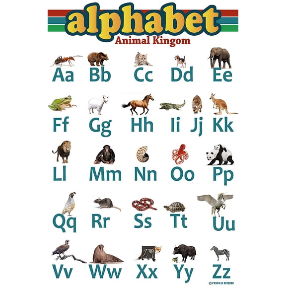 Abc Aphabet Poster Animal Kingdom Laminated edu