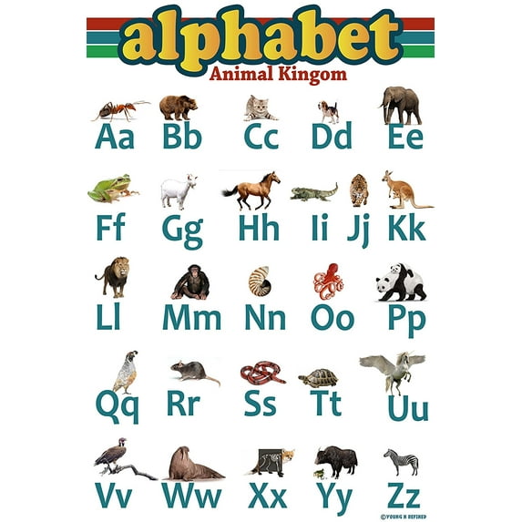 Abc Aphabet Poster Animal Kingdom Laminated edu