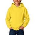 thumbnail image 1 of Abcomgle Boys Hoodies Size 10 12 Long Sleeve Hooded Girls Sweatshirt Solid Color Lightweight Casual Pullover Tops with Kangaroo Pocket 14-16 Years, 1 of 6