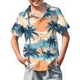 thumbnail image 1 of Abcomgle Button Up Shirts for Boys Size 6-7 Tropical Palm Tree Print Boys Spring Shirts Button Down Short Sleeve Cruise Hawaiian Clothes for Boys,Sky Blue,12-13Years, 1 of 5