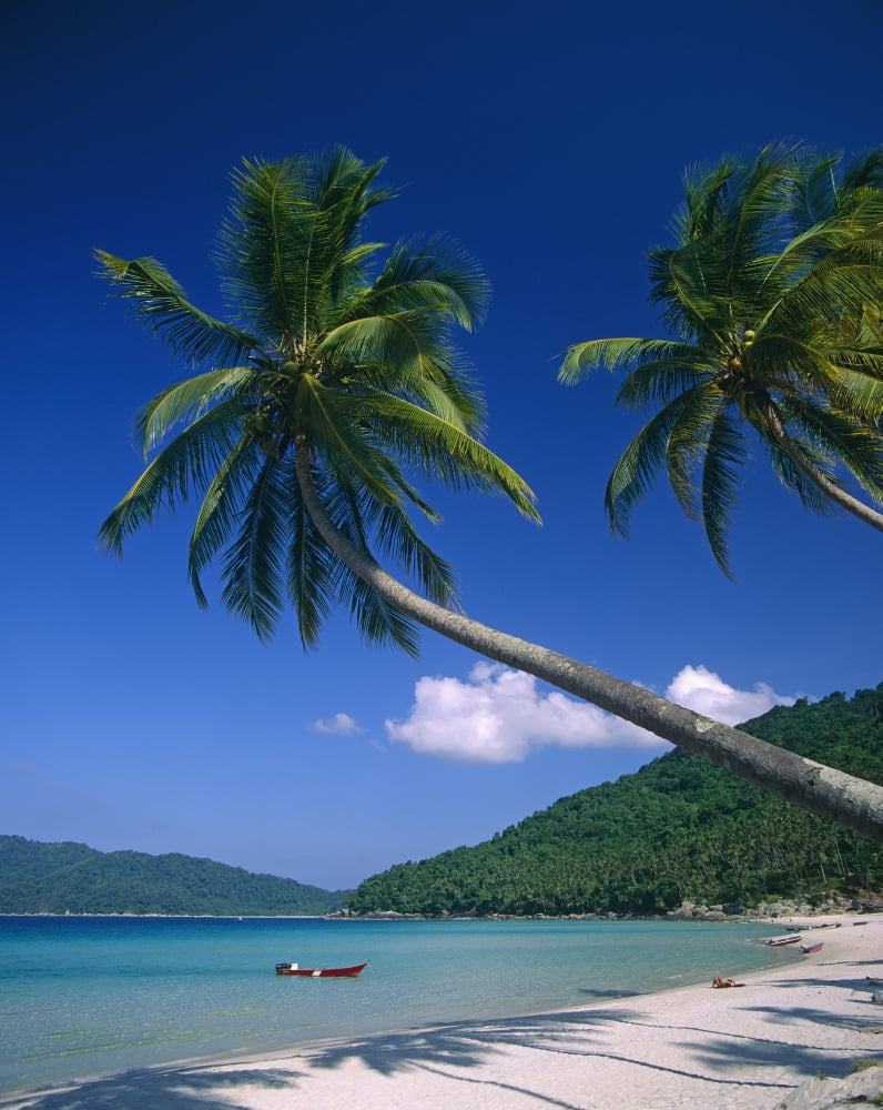 Abduls Beach Canvas Art - Martin Stolworthy Design Pics (26 x 34)