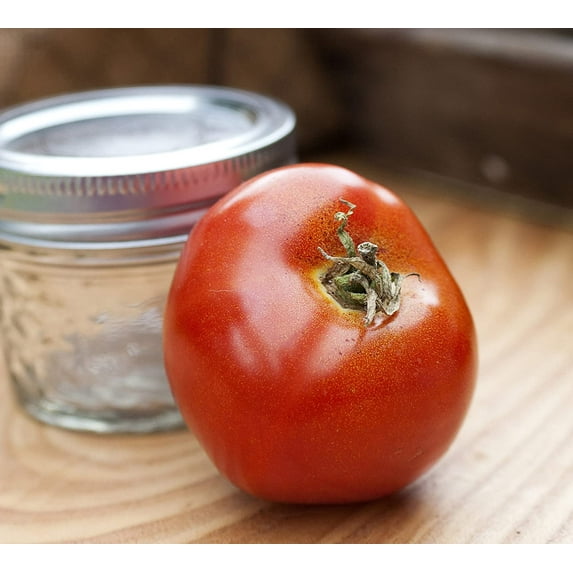 Abe Lincoln Heirloom Tomato Premium Seeds Packet