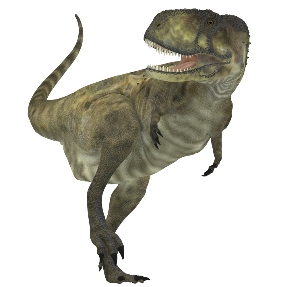Abelisaurus dinosaur white background Canvas Art - Corey FordStocktrek Images (29 x 29)