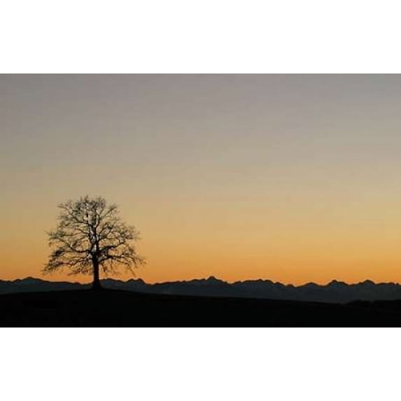 Abenddammerung II Poster Print by Gerhard Rossmeissl (24 x 36)