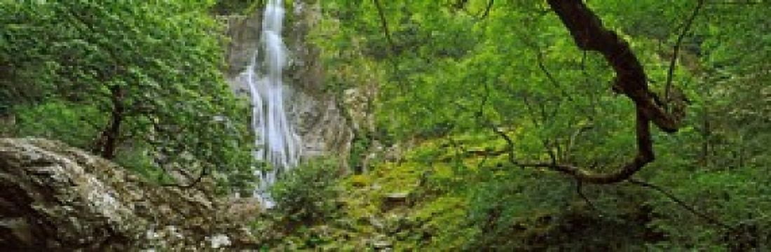 Aber Falls in a forest Abergwyngregyn Gwynedd Wales Canvas Art - Panoramic Images (36 x 12)