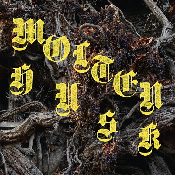 Abest Molten Husk (CD)