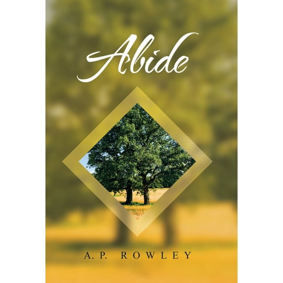 Abide Hardcover 1664246258 9781664246256 A P Rowley