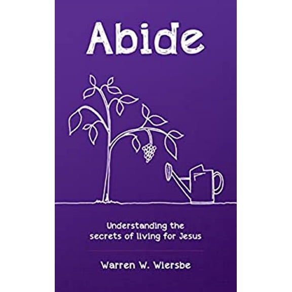 Pre-Owned Abide: Understanding the secrets of living for Jesus (Paperback) 1910587737 9781910587737