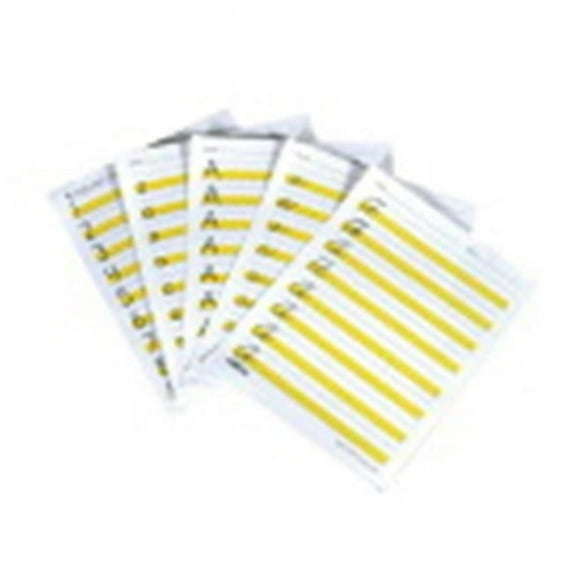 Abilitations Hi-Write Practice Pads Script Pad, 100 Sheets per Pad