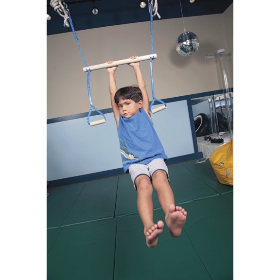 Abilitations Monkey Bar Swing