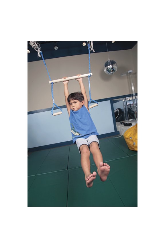 SWING MONKEY