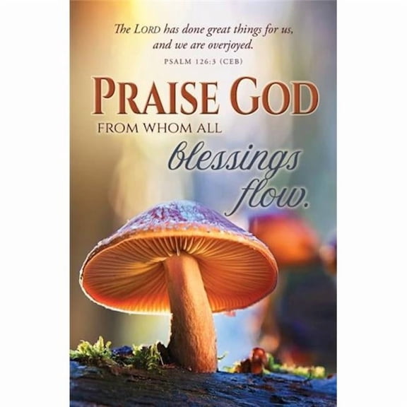 Abingdon Press 472534 Bulletin - Praise God From Who All Blessings Come - Pack of 100
