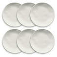 thumbnail image 1 of Abode Homewares by TarHong Organic Wheat PP Dinner Plate, 10.6", Set of 6 Ivory, 1 of 4