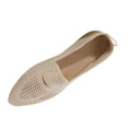 thumbnail image 1 of Abomasnow Womens Mesh Knit Pointed Toe Slip‑On Breathable Lightweight Loafer Flat Shoes, 1 of 9