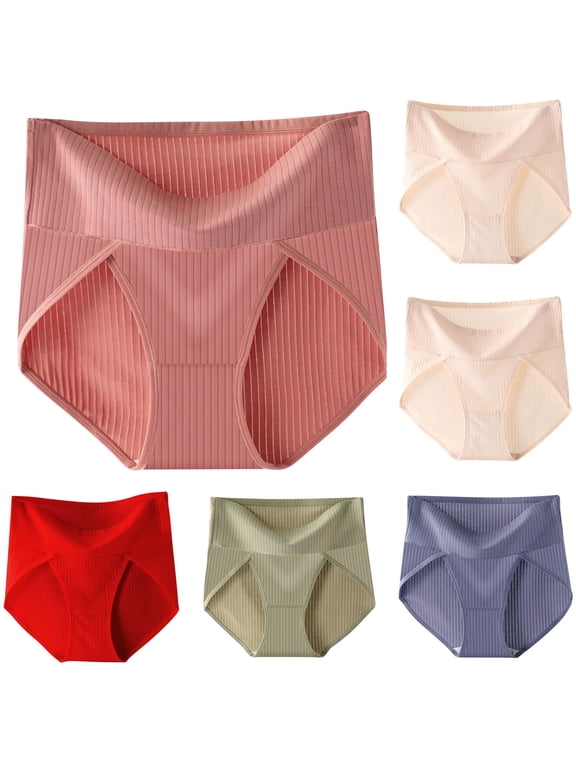 Tummy Control Underwear for Women Plus Size Seamless Panties for Ladies Comfortable Soft High Waist Underwear Full Coverage Hipster Briefs
