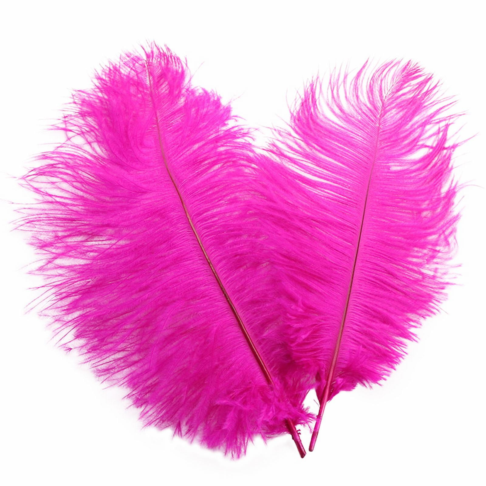 About 32 Cmcolorful Feathers Wedding Decoration wall decor Flower