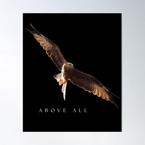 Above All Red Kite Bird Graphic Nature Art Unframed Paper Print