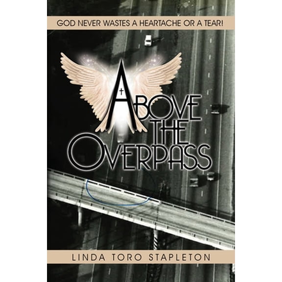 Pre-Owned Above the Overpass (Paperback) 1958032018 9781958032015