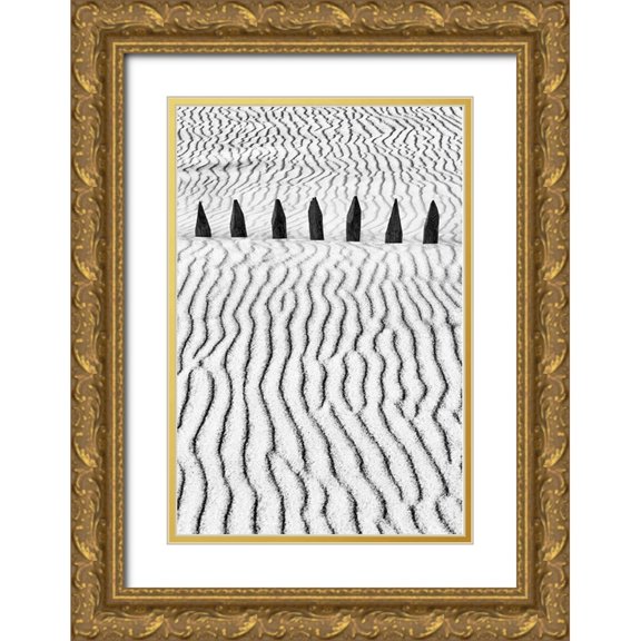Abrantes, Paulo 17x24 Gold Ornate Wood Framed with Double Matting Museum Art Print Titled - Little Silver Silence