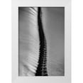 thumbnail image 1 of Abrantes, Paulo 17x24 White Modern Wood Framed Museum Art Print Titled - Scorpio Rising, 1 of 4