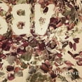 thumbnail image 1 of Predawn Absence (CD), 1 of 2