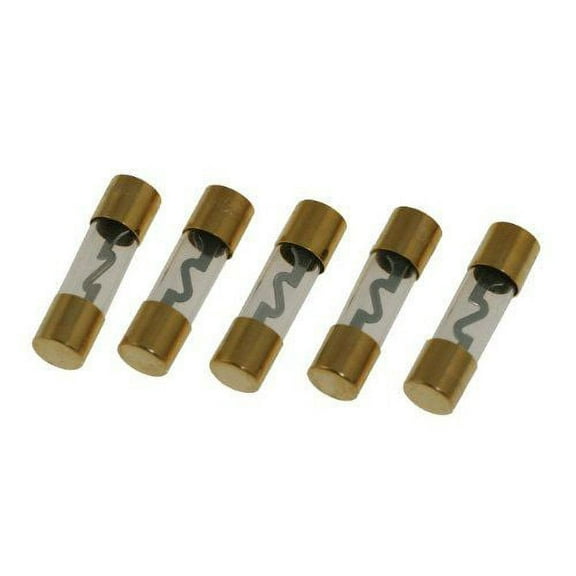 Absolute AGU80 5 Pack AGC 80 Amp 12 Volts Gold Standard Glass Fuses