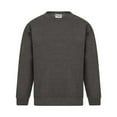 thumbnail image 1 of Absolute Apparel Mens Sterling Sweat, 1 of 4