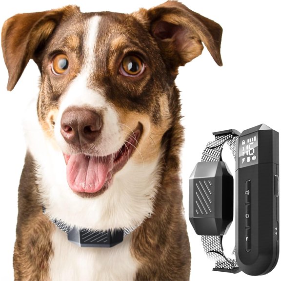 Absolute Dog Training Collar with Remote - Rechargeable Waterproof Shock Collar for Small to Large Dogs, 3 Modes: Beep, Vibration, Static with Security Lock