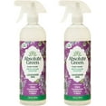 thumbnail image 1 of Absolute Green  All Purpose Cleaning Spray, Multi-Surface Cleaner, Safe Around Kids + Pets, Lavender Spa Scent, 25 oz (2 Pack), 1 of 7