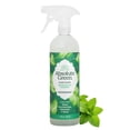 thumbnail image 1 of Absolute Green All Purpose Cleaner Spray, Non-Toxic, Kitchen, Bathroom, Countertop, Windows, Safe around Kids and Pets, Natural Peppermint Scent, 25 oz (1 Pack) C67, 1 of 3