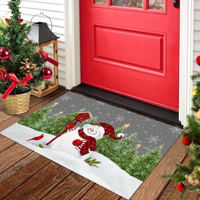 Absorbent Door Mat, Non Slip Floor Mats LowProfile Small Rugs for