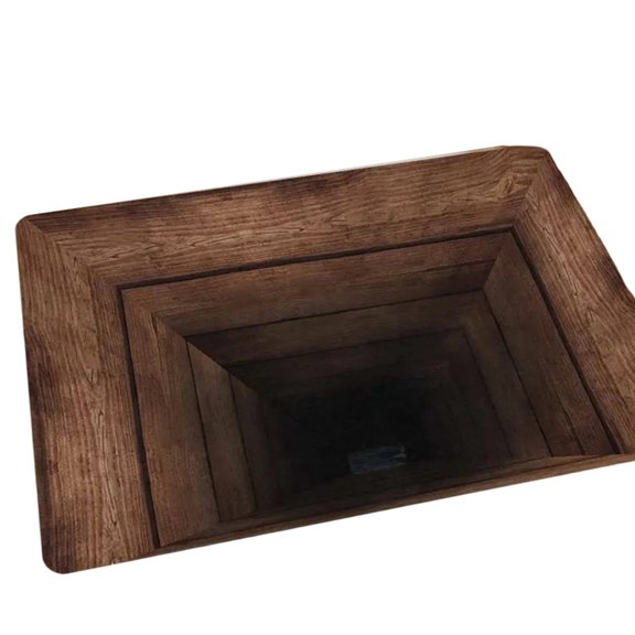 Absorbent Front Door Mat With 3D Optical Illusion Design Nonslip For Safety