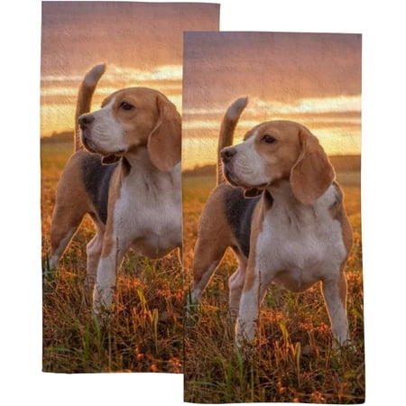 Absorbent Soft Hand Fingertip Towels 2 Pcs Face Bath Towels Set Portrait of A Beagle Dog Washcloths for Bathroom Hotel Kitchen 30x15in