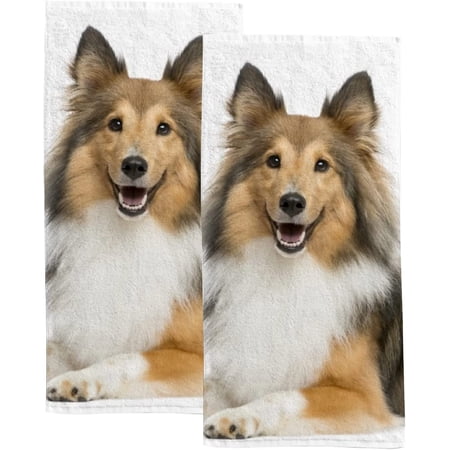 Absorbent Soft Hand Fingertip Towels 2 Pcs Face Bath Towels Set Shetland Sheepdog Lying Washcloths for Bathroom Hotel Kitchen 30x15in