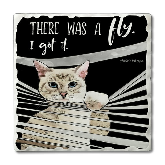 Absorbent Stone Tumbled Tile Coasters, There was A Fly, Set of 4