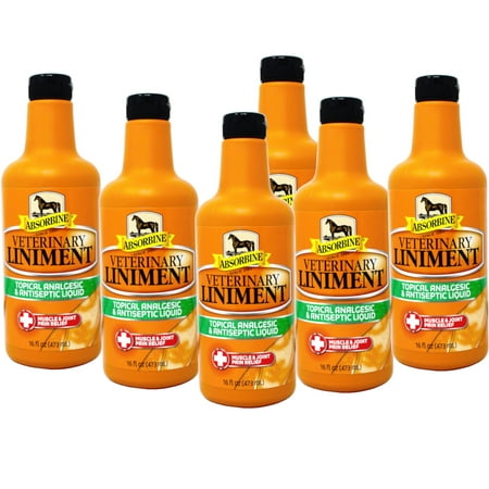 Absorbine Topical Analgesic & Antiseptic Veterinary Liniment Muscle & Joint Pain Relief, 16 oz - 6 Pack