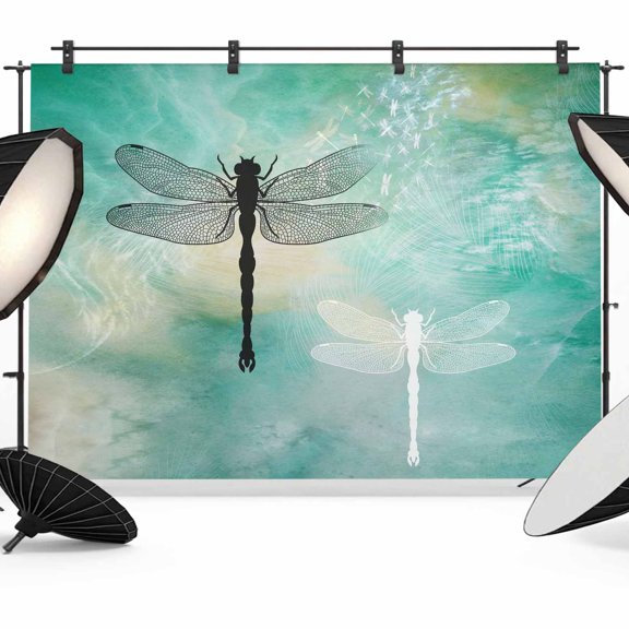Abstract Art Photography Backdrop 12x8FT, Black White Dragonfly Wings Turquoise Gradient Photo Backdrops, Background for Photography Studio Photo Studio Background, Back Drop for Photoshoot