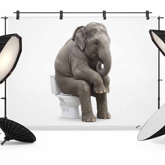 Abstract Art Photography Backdrop 12x8FT, Funny A Thinking Elephant Sitting on A Toilet Photo Backdrops, Background for Photography Studio Photo Studio Background, Back Drop for Photoshoot