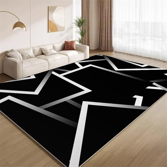 Abstract Black and White Area Rugs Modern Geometric Pattern Rugs Soft Faux Wool Washable Non Slip Carpet for Teens Boys Girls Kids Room Living Room Bedroom Entry Floor Mats 2 x 3ft