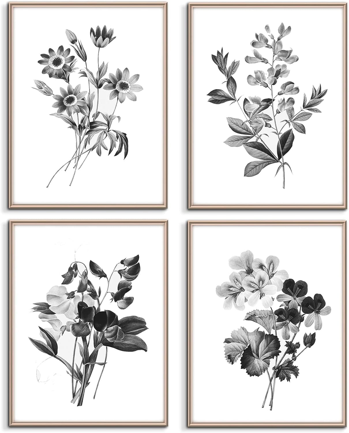 Abstract Botanical Wall Art Decor, Set of 4 Black and White Herb ...